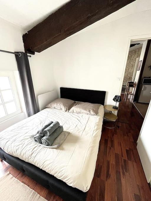 41 M² I Centre Historique I Romans-sur-Isere